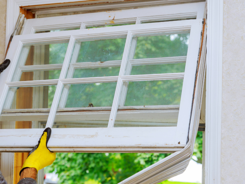 window.png window.png